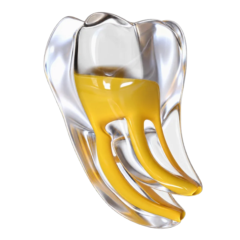 Fanta 3D Tooth