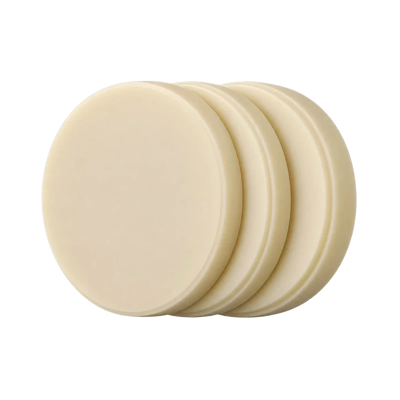 Lodden Dental PMMA Discs